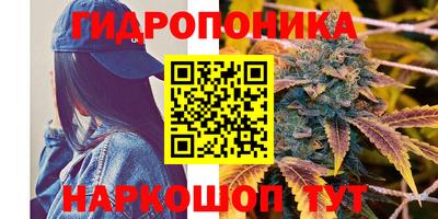 стаф Ярцево