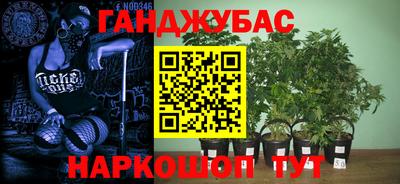 спиды Ярославль