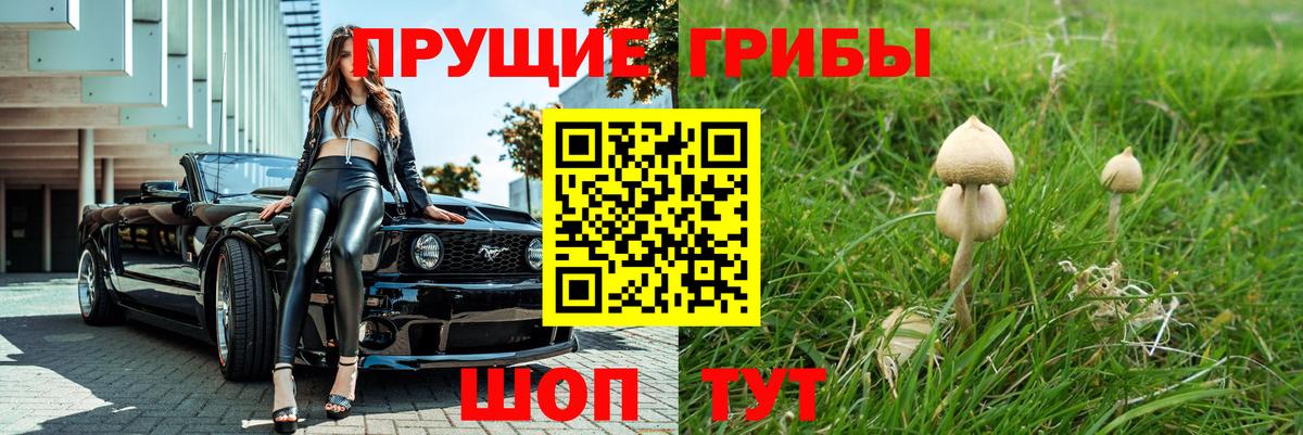 Галлюциногенные грибы Cubensis  Вход с VPN  Ликино-Дулёво 